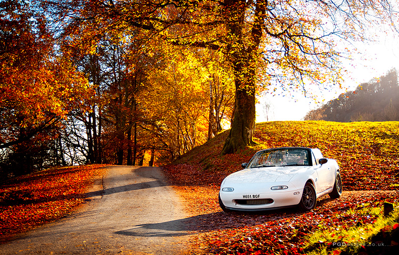 Automotive-mx5-mk1-autumn-driver